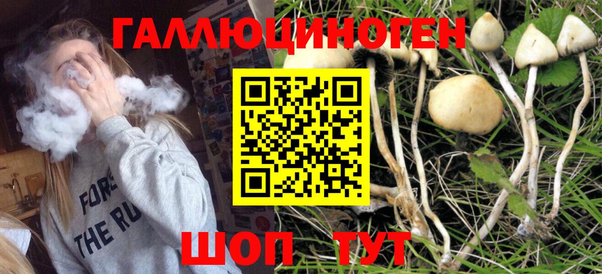 Галлюциногенные грибы MAGIC MUSHROOMS Гурьевск