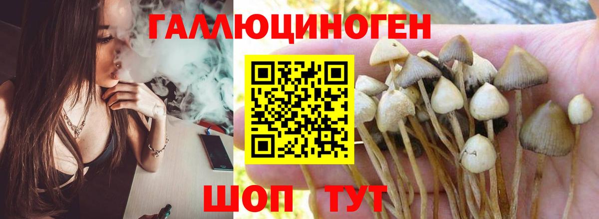 Галлюциногенные грибы Psilocybe  Вход с VPN  Гурьевск  Псилоцибиновые грибы Magic Shrooms 